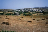 Φαλατάδος Τήνου