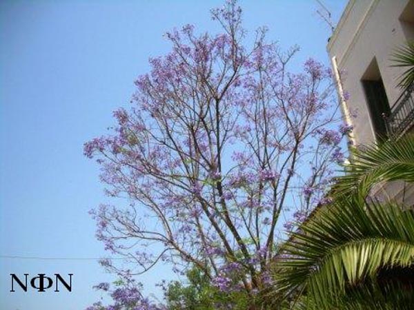 ÊÁËÁÌÁÔÁ 30. 5. 08 026