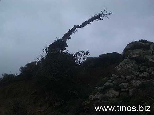 Koumaros-village-037