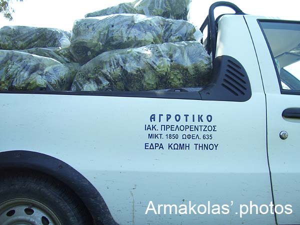 agginara_2006-011