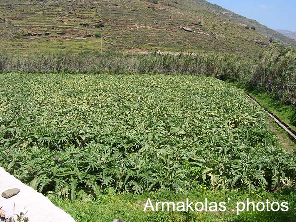 agginara_2006-012