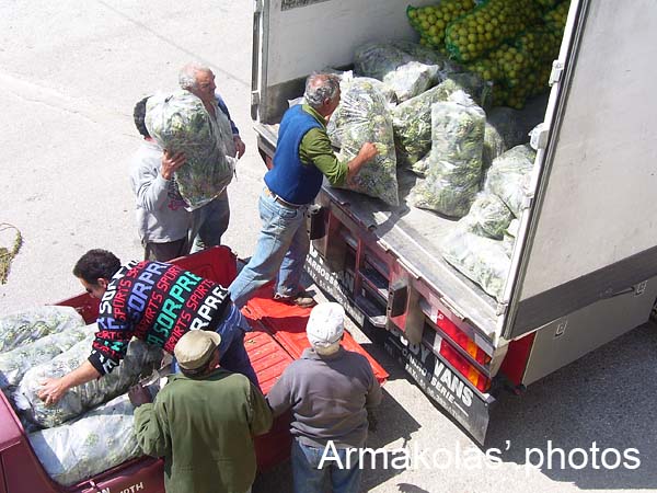 agginara_2006-043