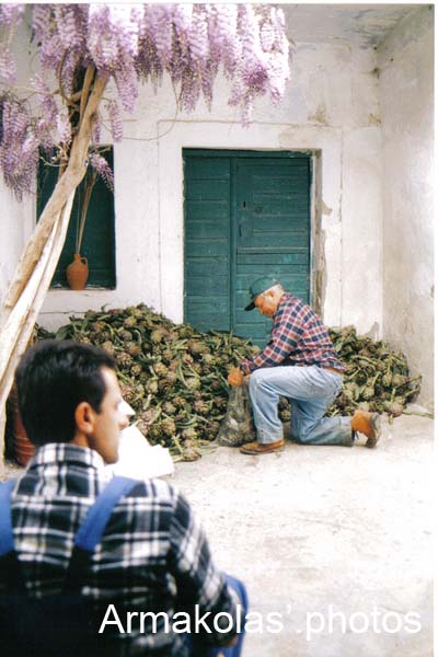 agginara_2006-134