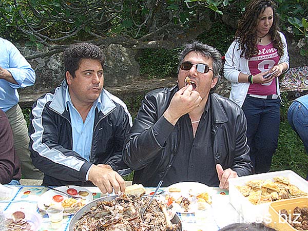 volax2006-033