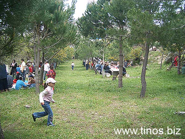 volax2006-049
