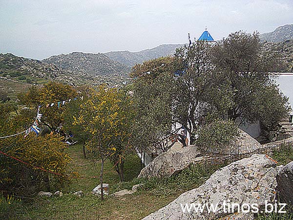 volax2006-080