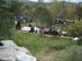 volax2006-013
