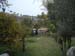 volax2006-082