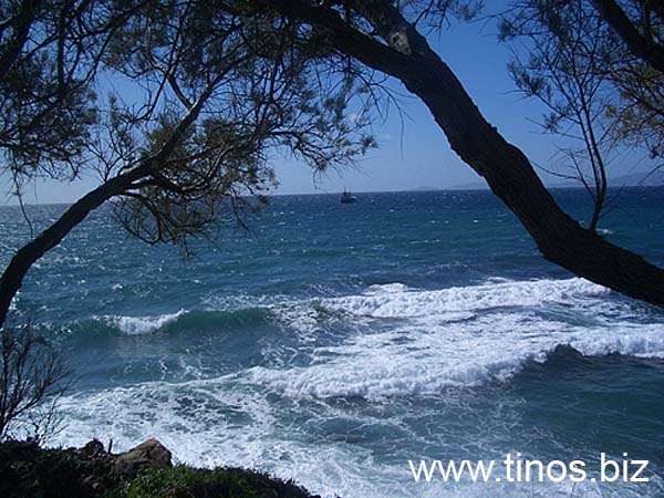 kionia-tinos-039