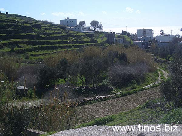 kionia-tinos-082