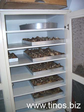 panygiri_lakotianis2007_010