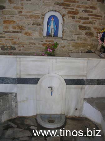 lamprotetarti 039