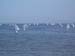 sailing-103
