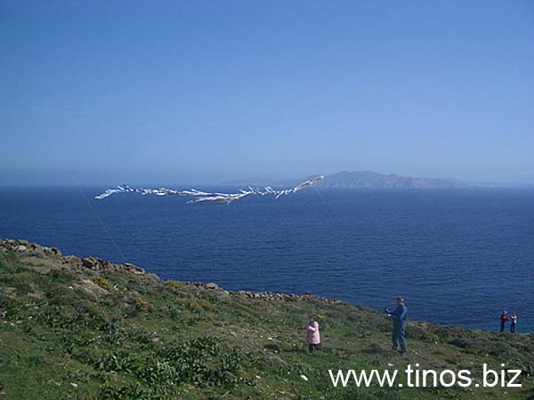 shrove-081