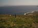 shrove-067