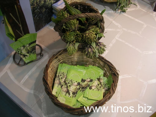 panorama2007Aris 036