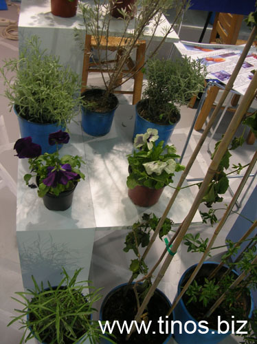 panorama2007Aris 056