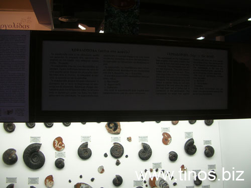 panorama2007Aris 092