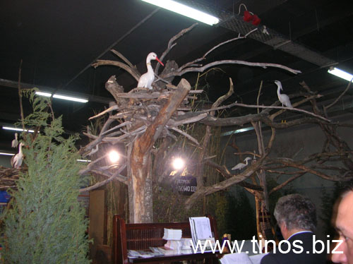 panorama2007Aris 097