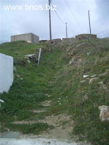 trifonas 065