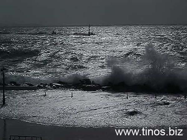wave-019