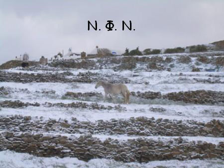 ×éüíéá óôçí ÔÞíï17,18.2.08 038